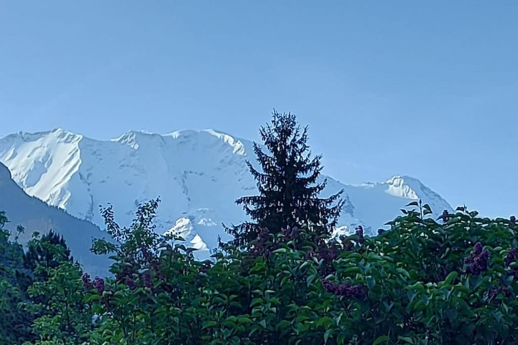 Appartement Dans Chalet - 75 M2 - 4 A 6 Personnes Saint-Gervais-les-Bains Eksteriør billede