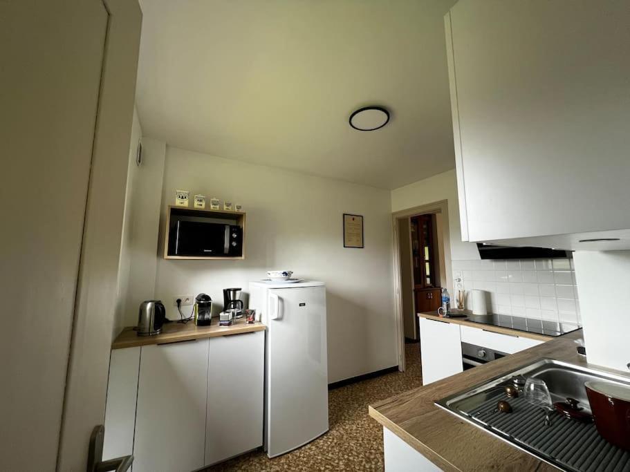 Appartement Dans Chalet - 75 M2 - 4 A 6 Personnes Saint-Gervais-les-Bains Eksteriør billede