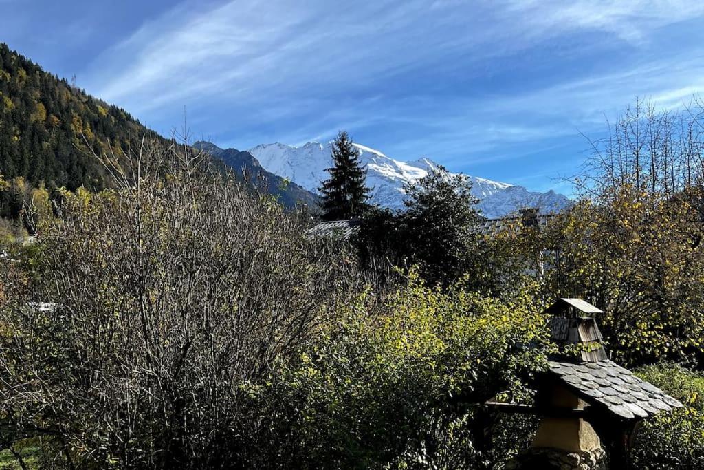 Appartement Dans Chalet - 75 M2 - 4 A 6 Personnes Saint-Gervais-les-Bains Eksteriør billede